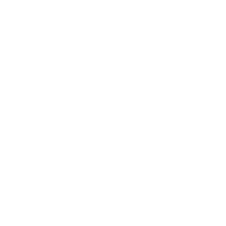 Slots Idea